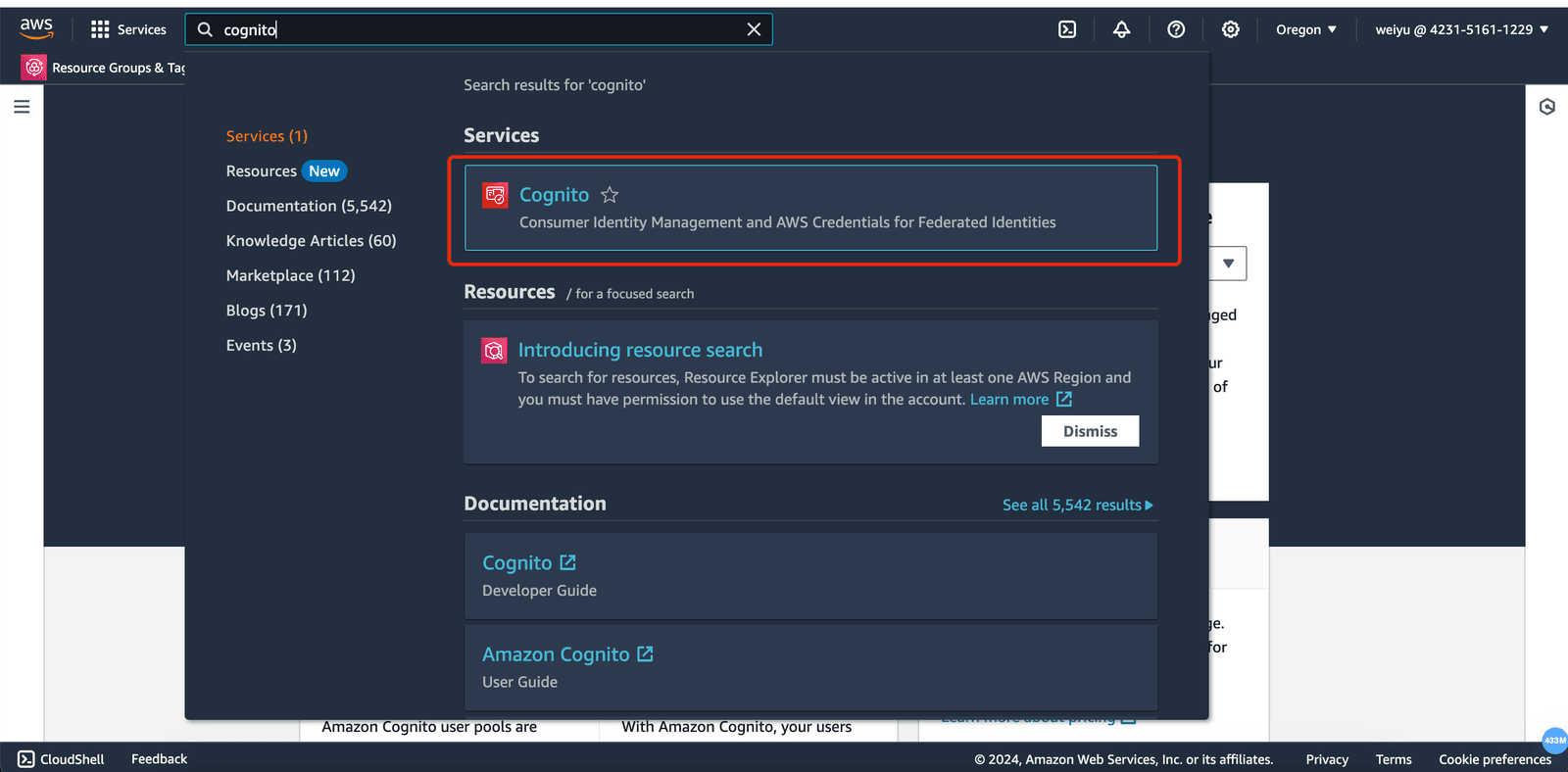 AWS Cognito SSO | Cognito AWS MC