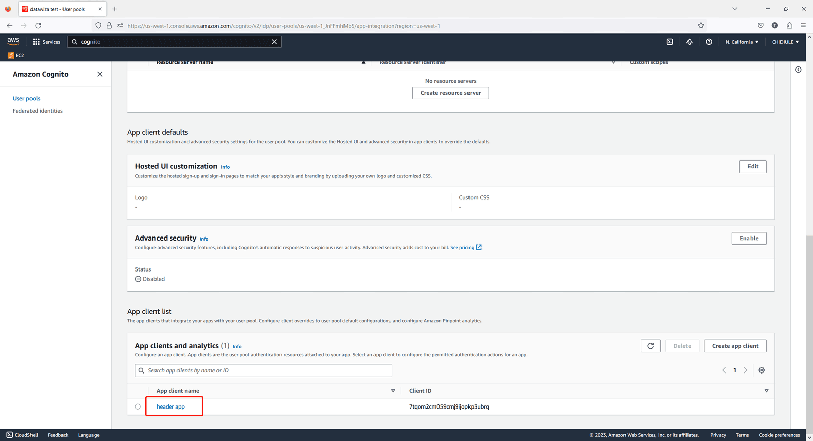 AWS Cognito SSO | Cognito App Client