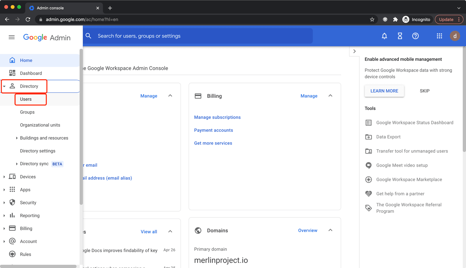 Google Workspace SSO | impersonate user