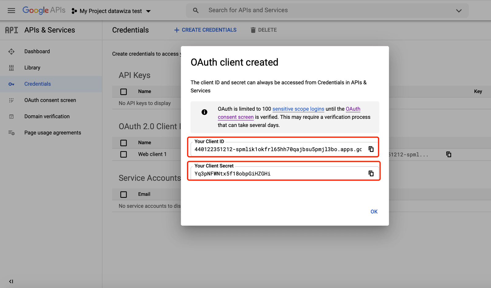 Google SSO | Google Credential Config